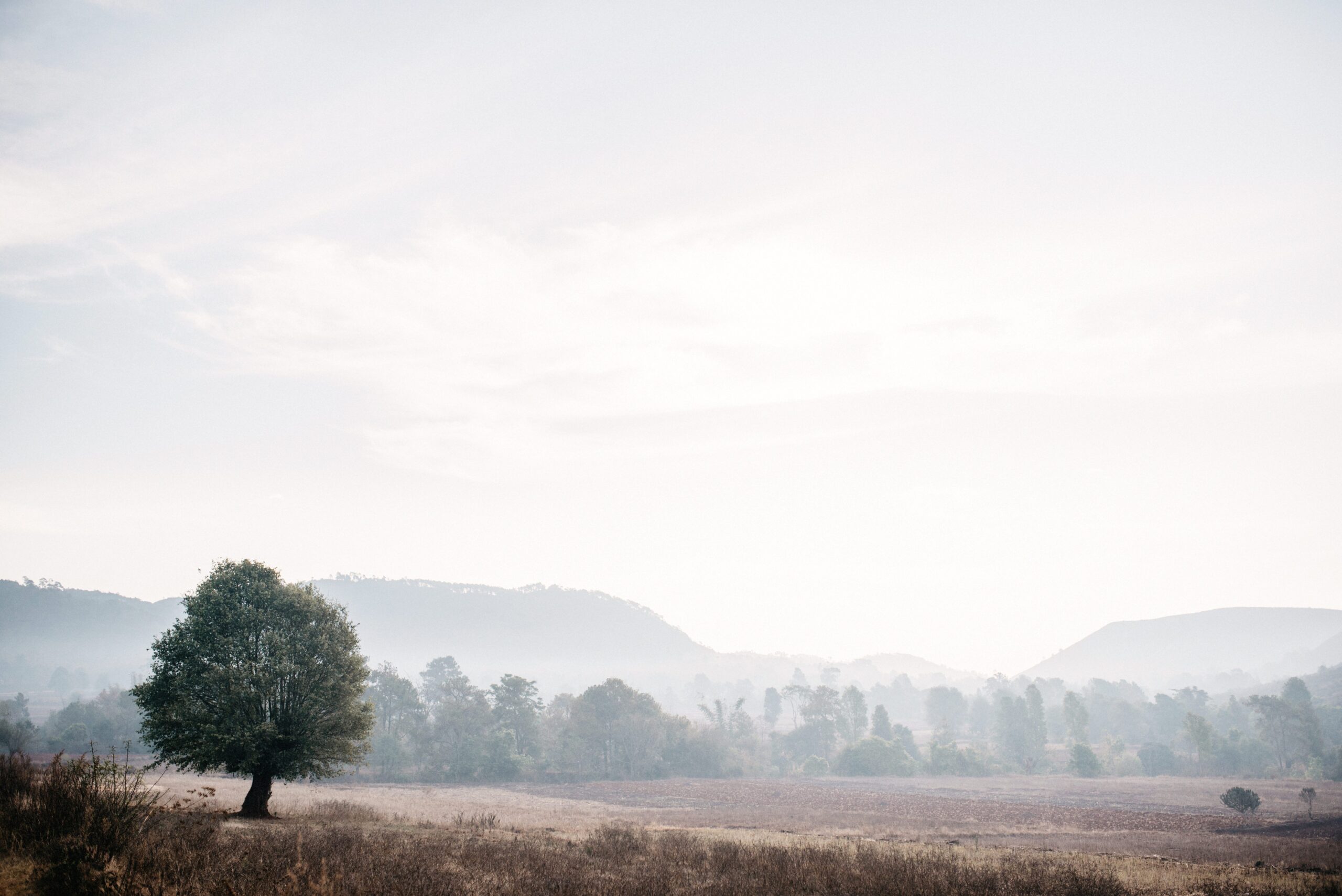 A lone hiker crossing the hazy landscape on the second day