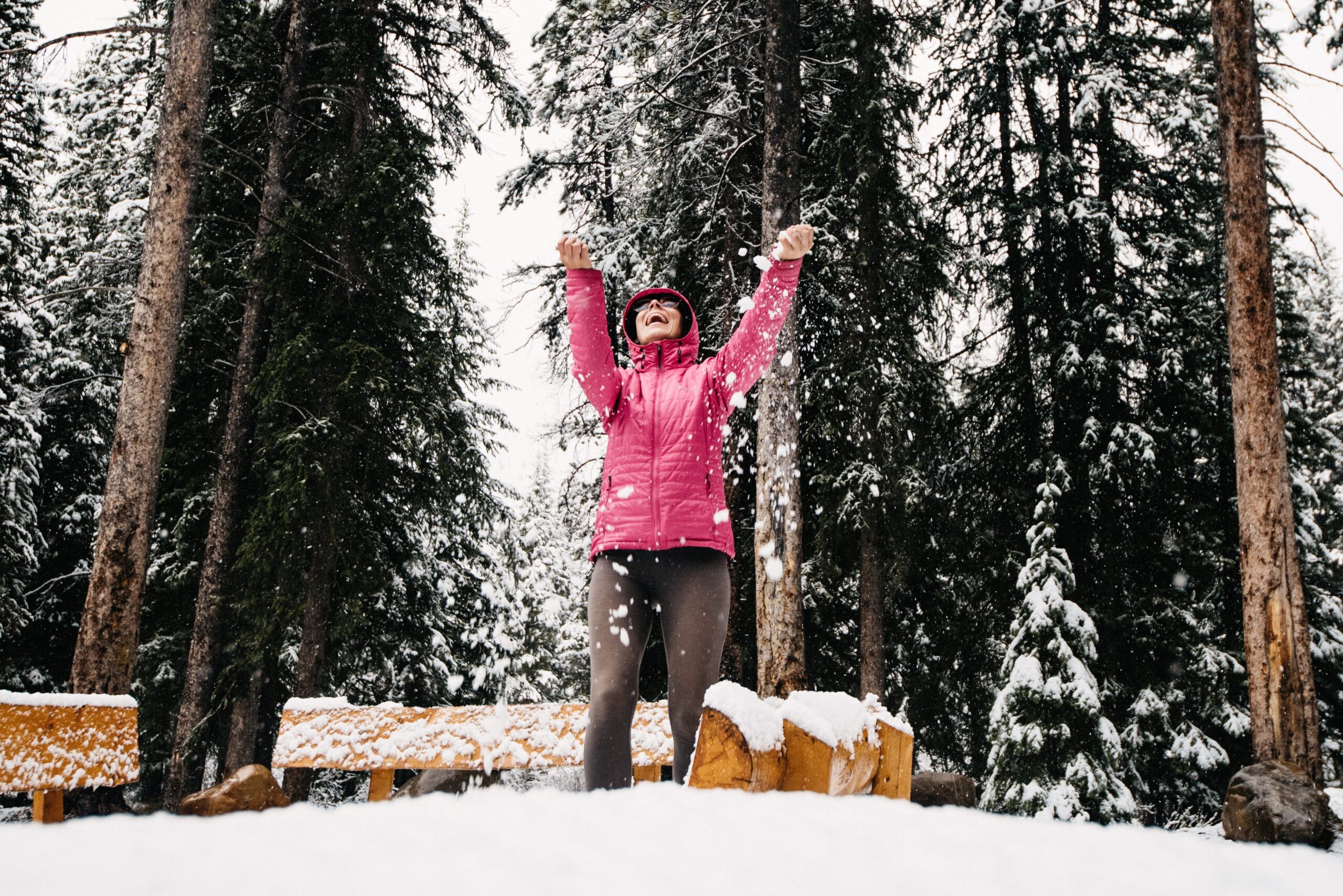 Bianca jumping beside a snow-covered road in the Canadian Rockies