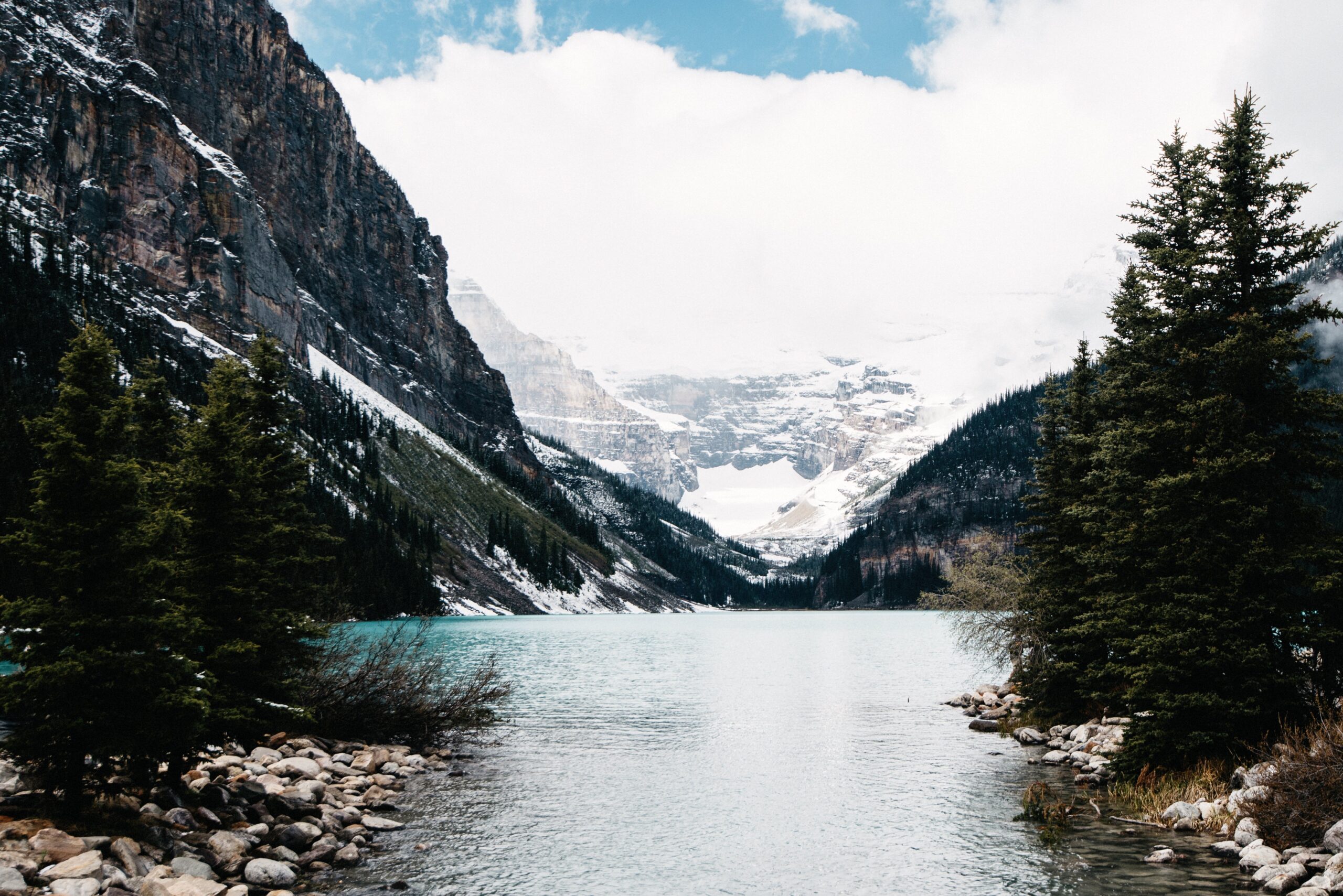 Lake Louise framed by forest and snowy mountains