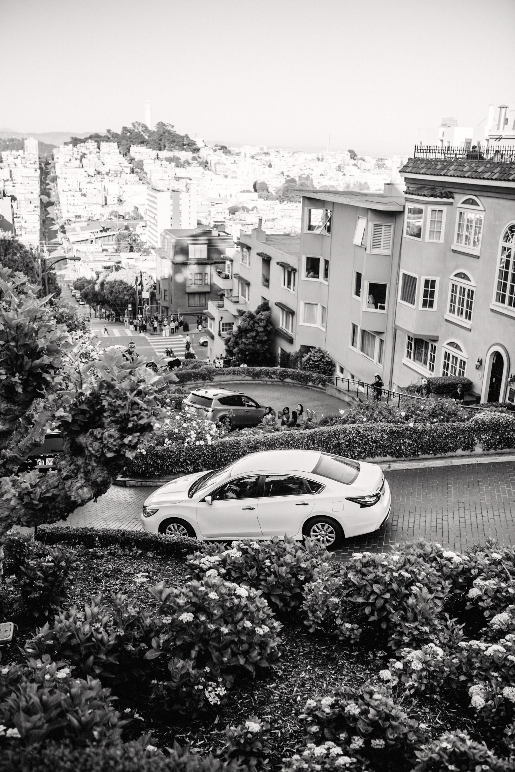 Autos fahren durch die Kurven der Lombard Street