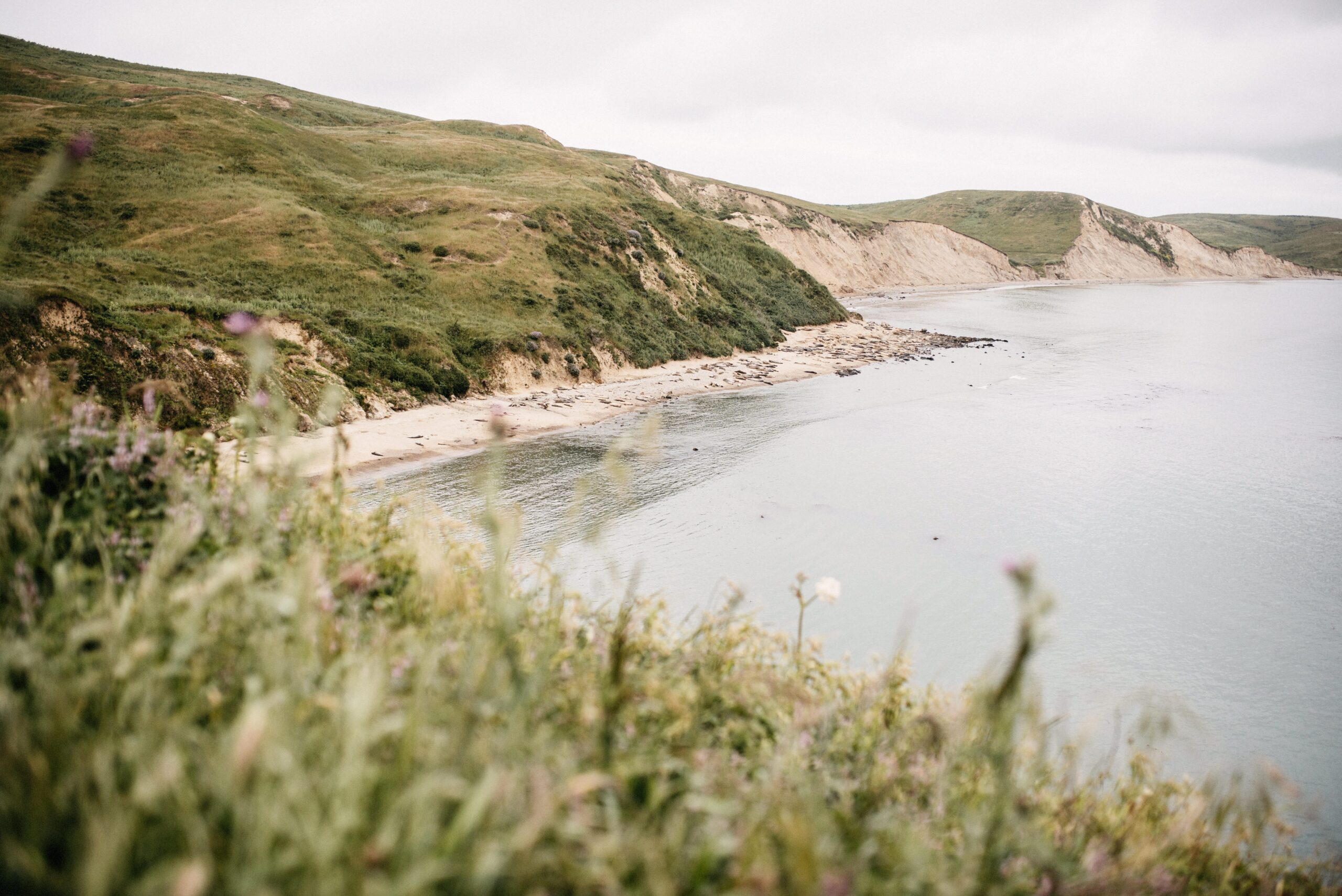 Der lange Pazifikstrand am Point Reyes National Seashore