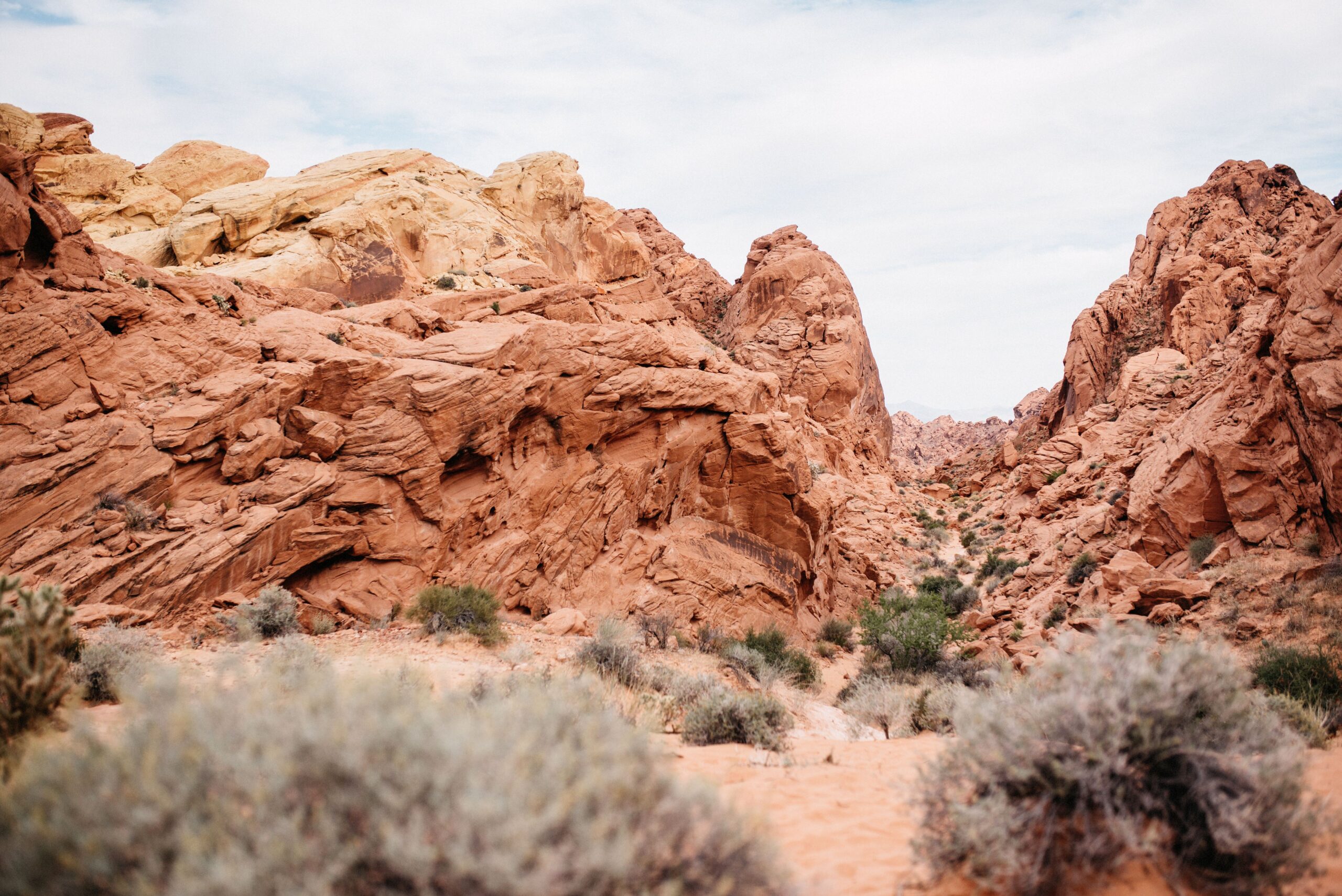 The red sandstone formations of Valley of Fire