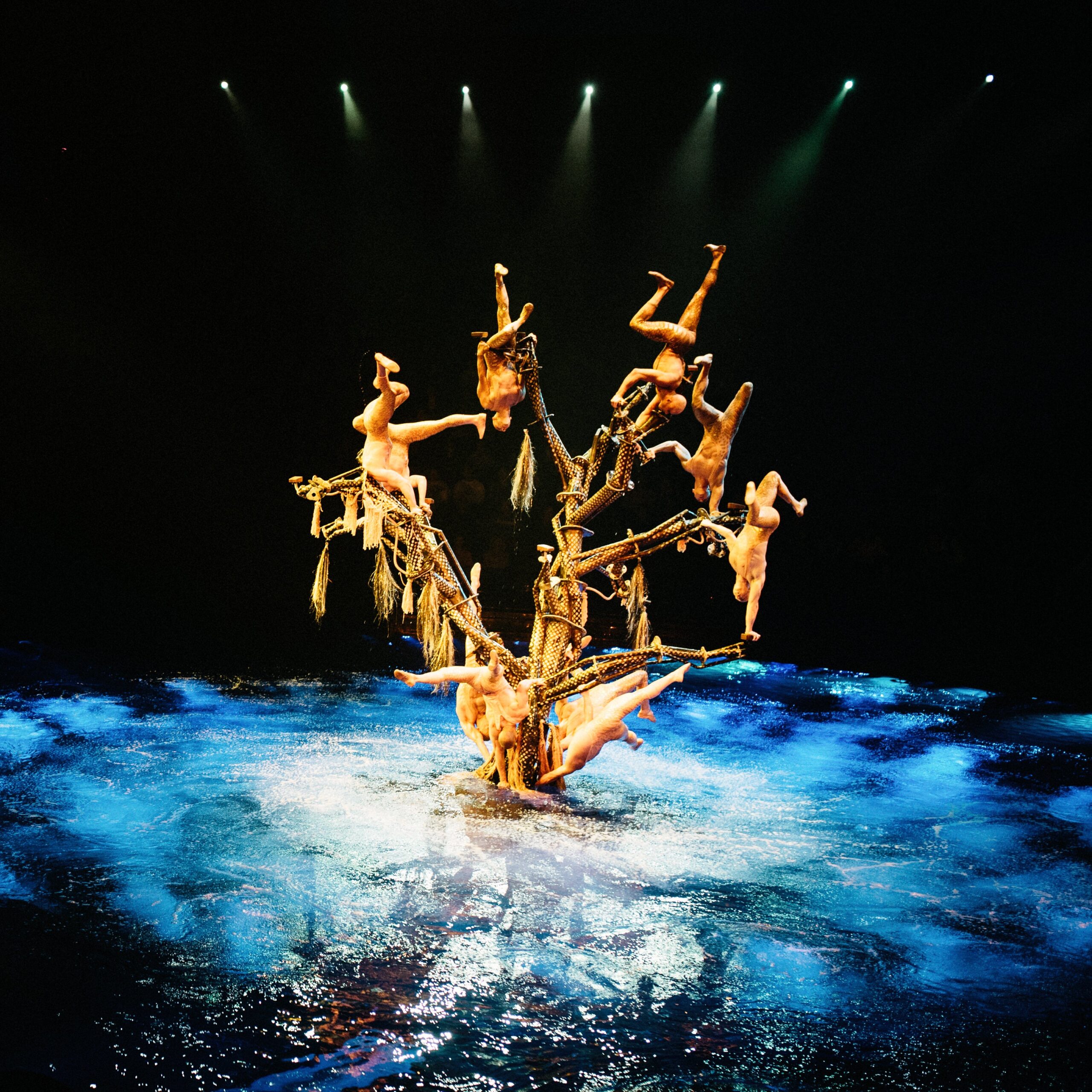 Acrobats performing above the circular Le Rêve stage