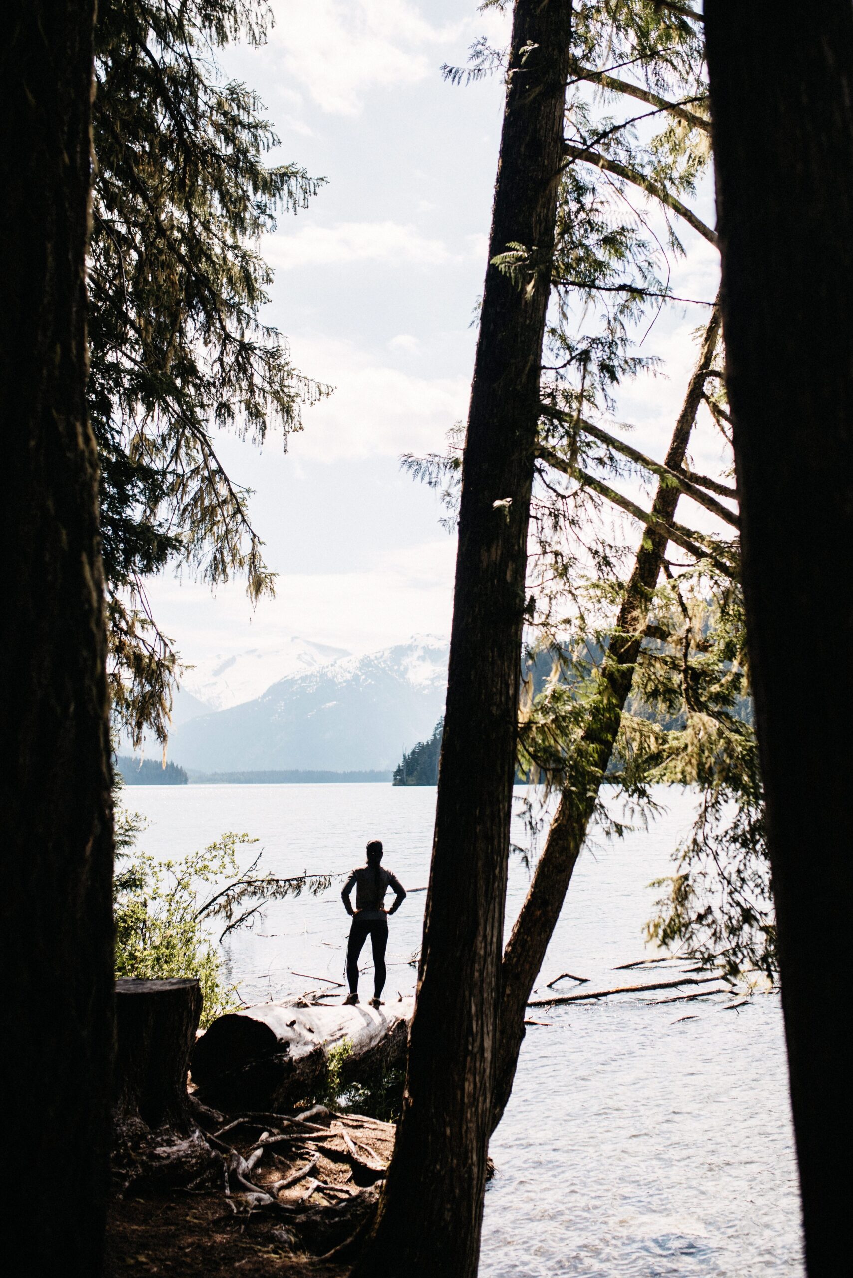 Cheakamus Lake erscheint zwischen den Bäumen