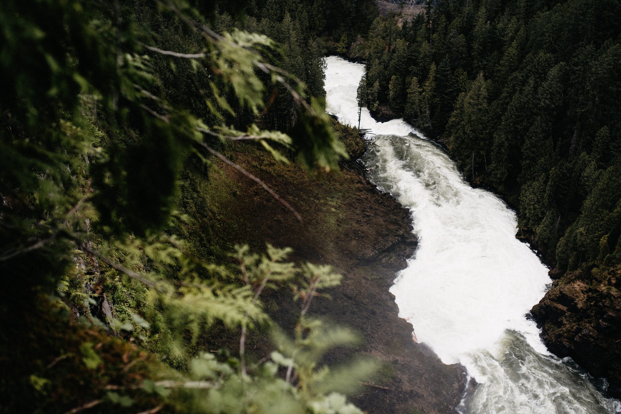 Ein Wasserfall in dichtem Wald im Wells Gray Provincial Park