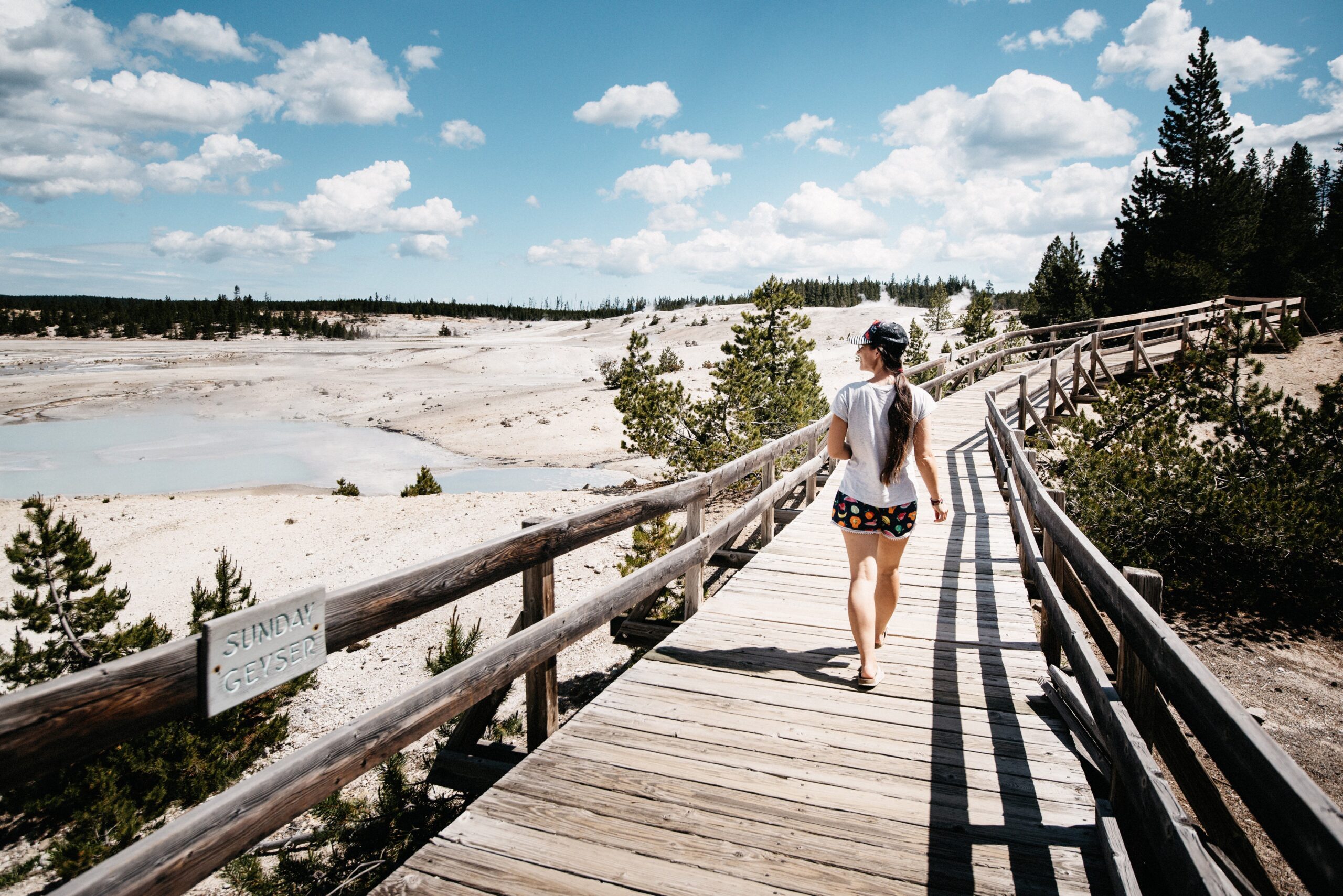 A boardwalk crossing the steaming Norris Geyser Basin