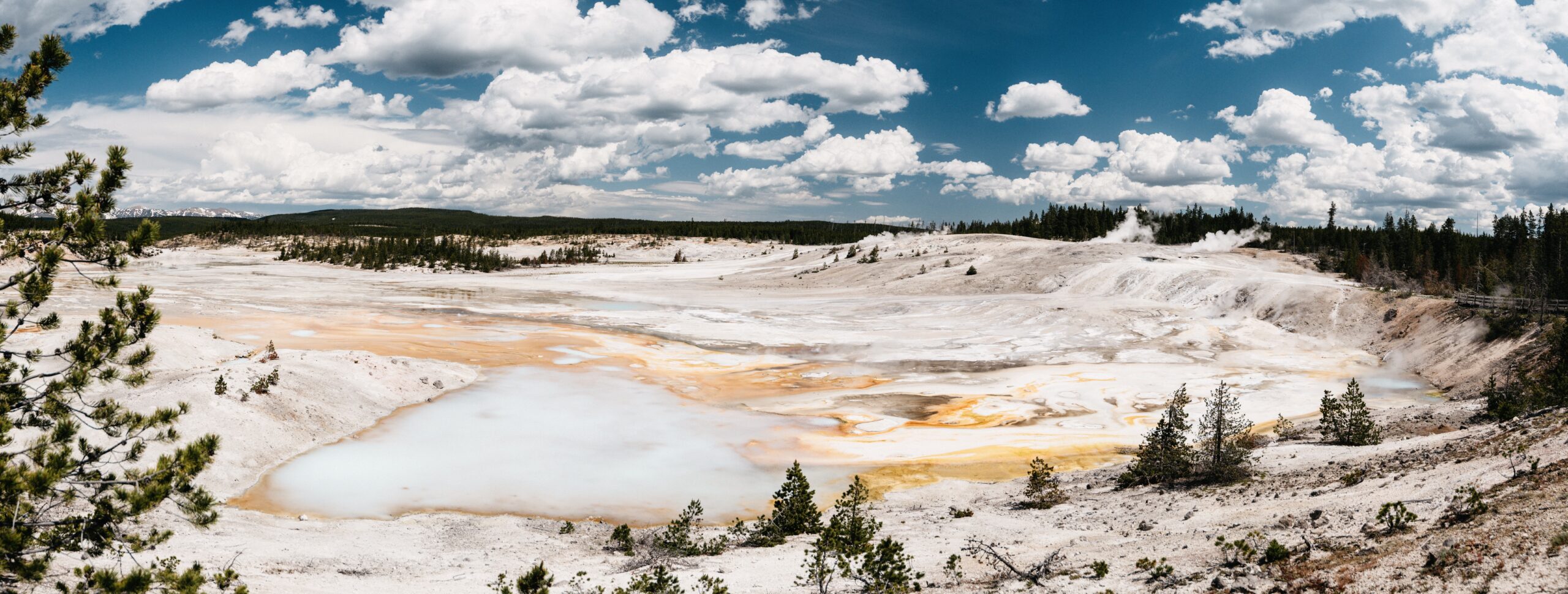 The wide geothermal landscape of Norris Geyser Basin