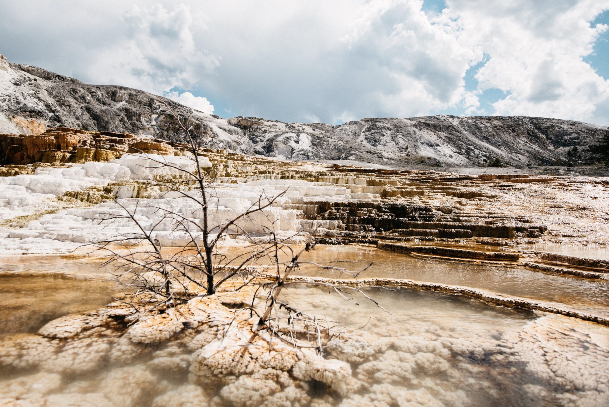 Water flowing across the coloured Mammoth terraces