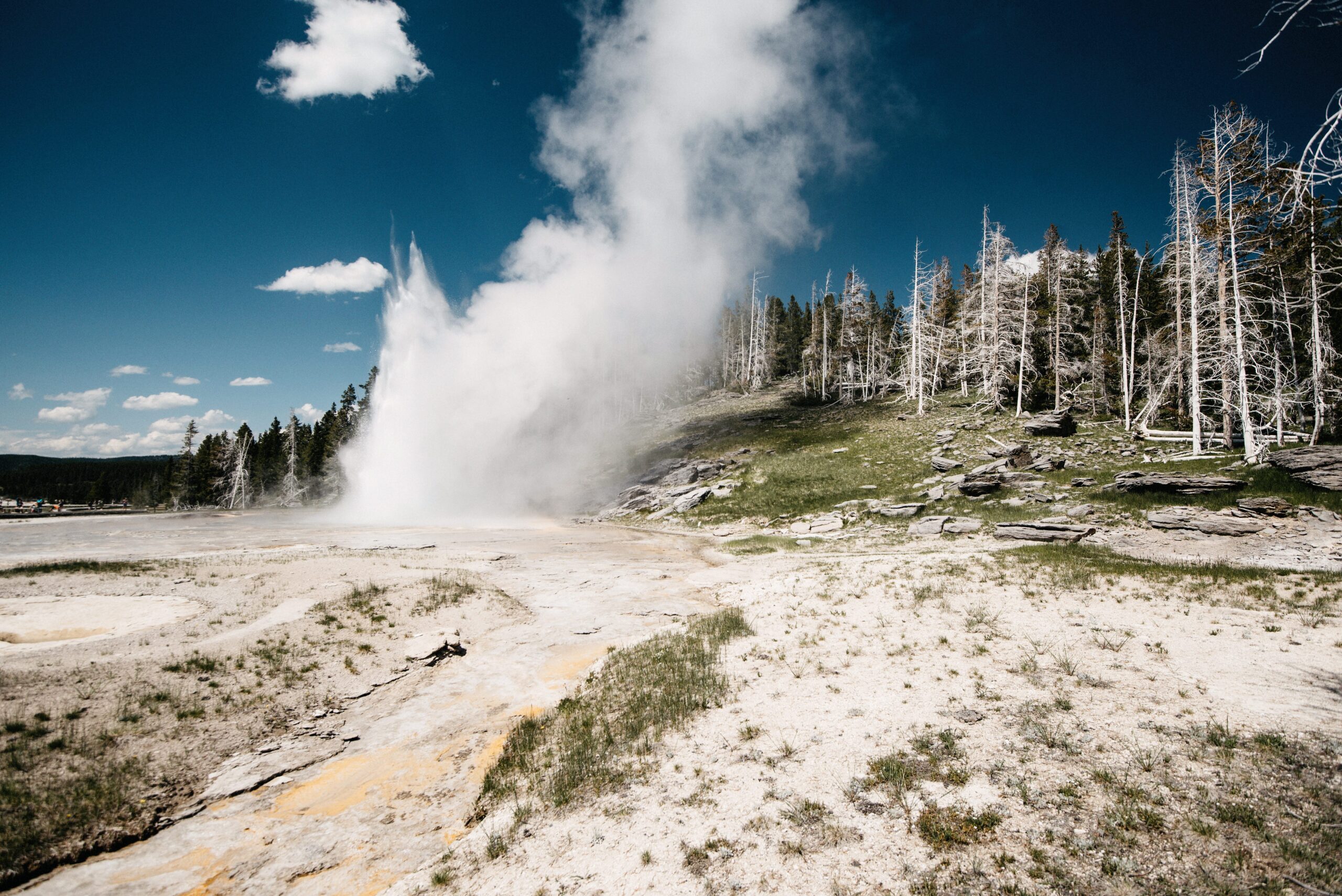 Old Faithful erupting in front of its waiting crowd