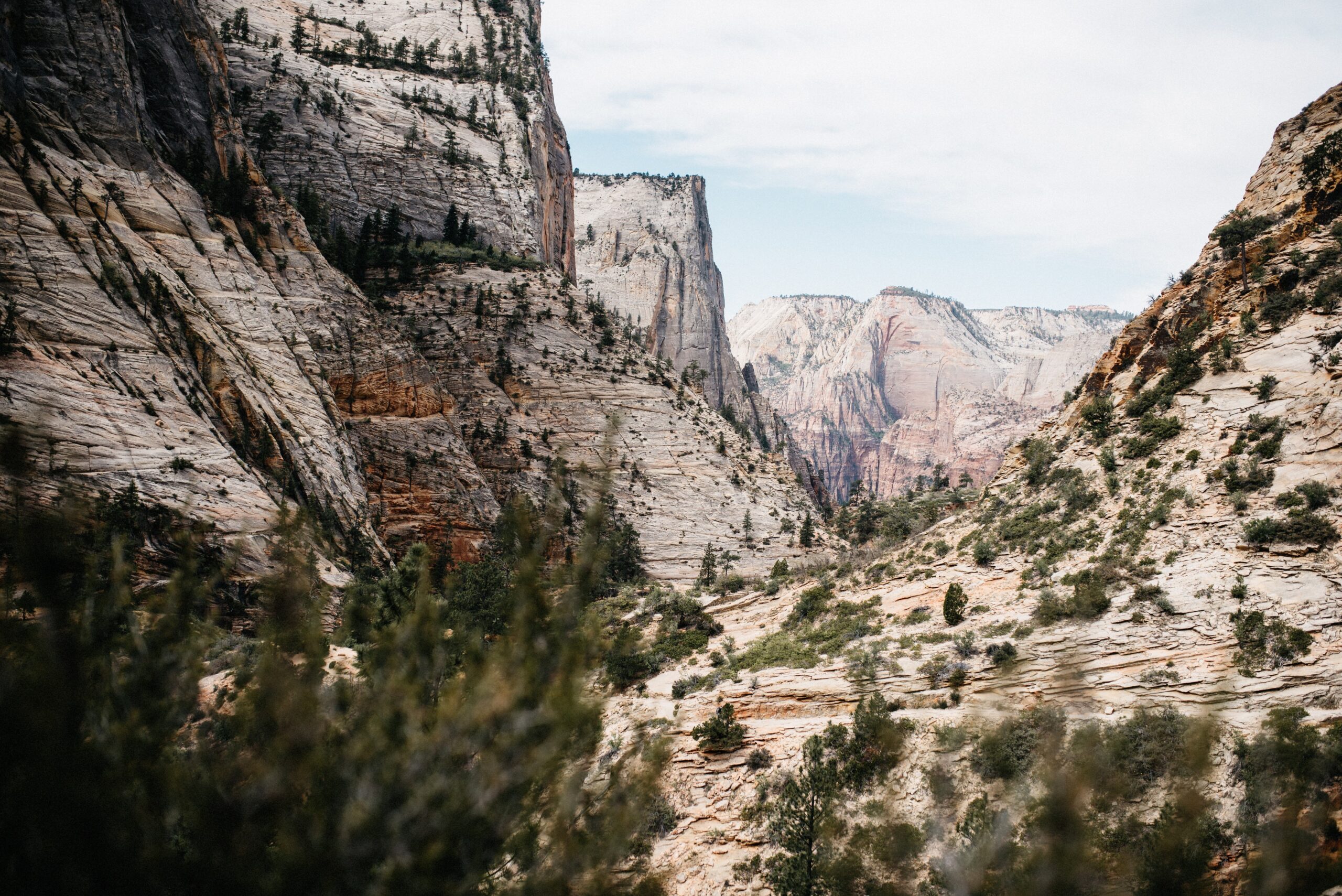 The Observation Point Trail climbing high above Zion Canyon
