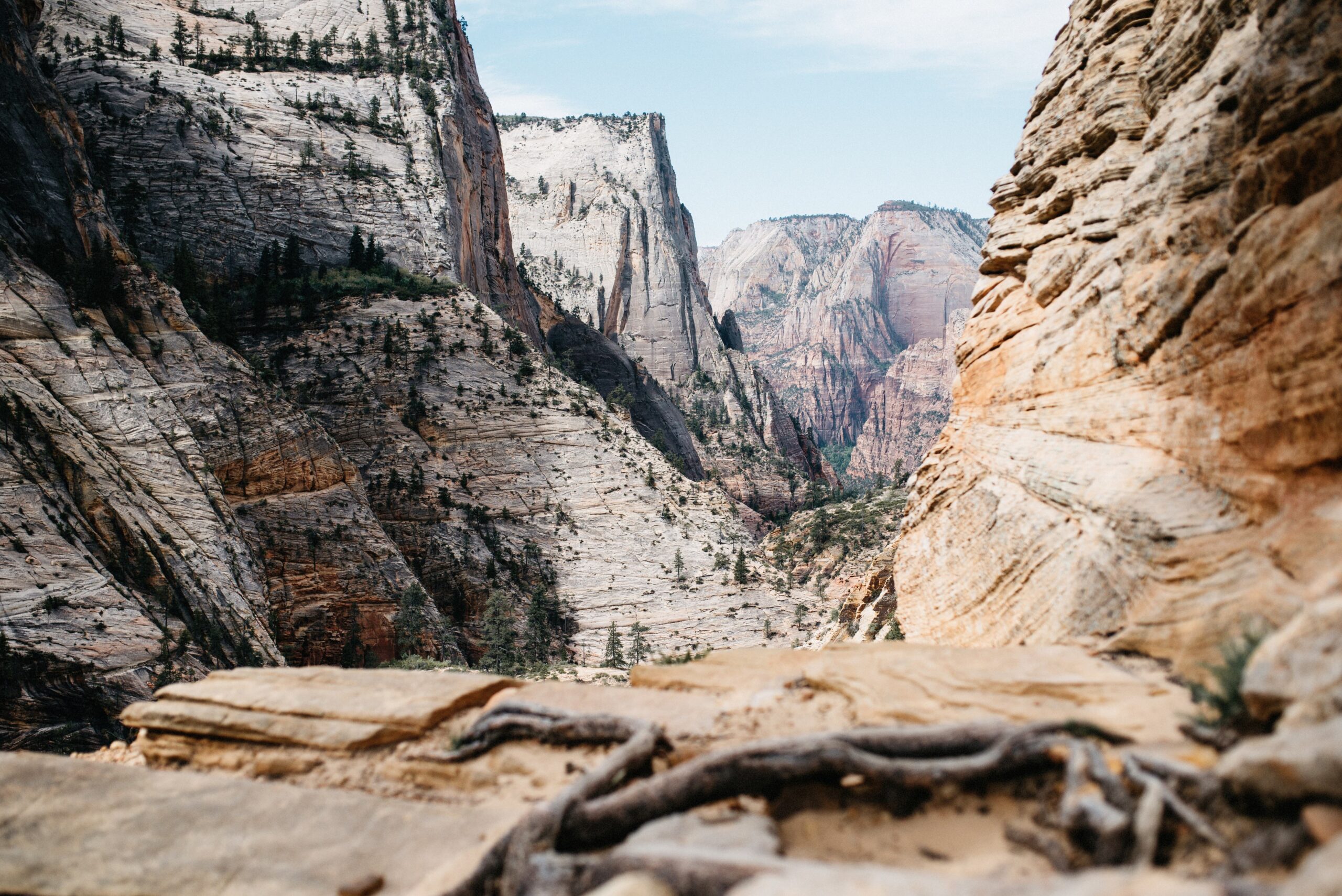 Zion Canyon viewed between pale sandstone cliffs