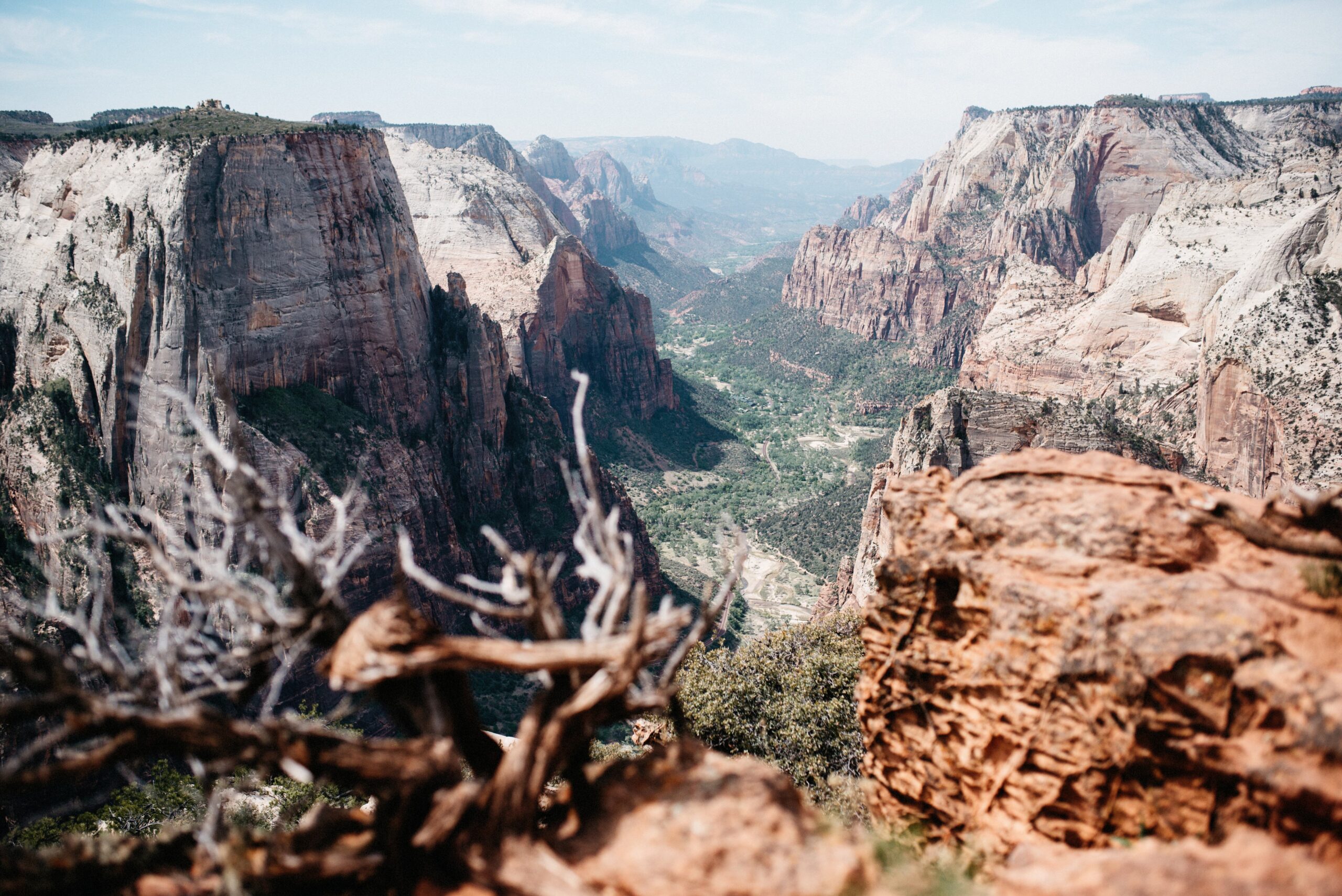 The view down Zion Canyon from Observation Point