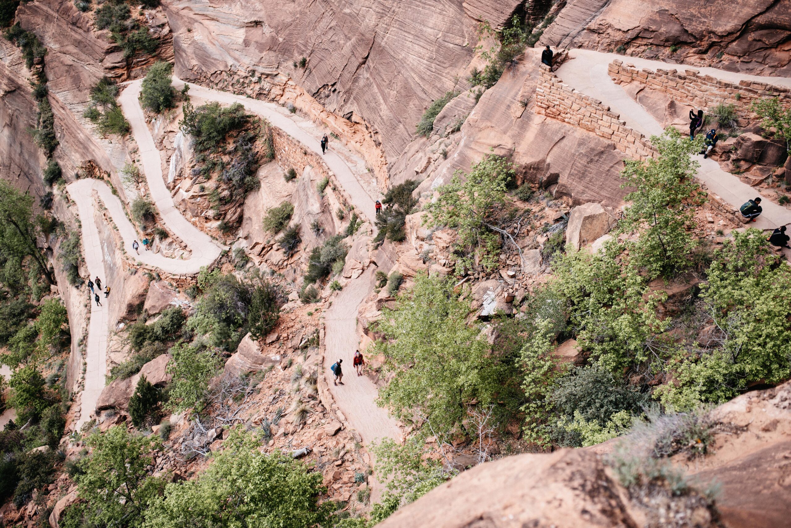 The tight switchbacks of Walter's Wiggles below Angel's Landing