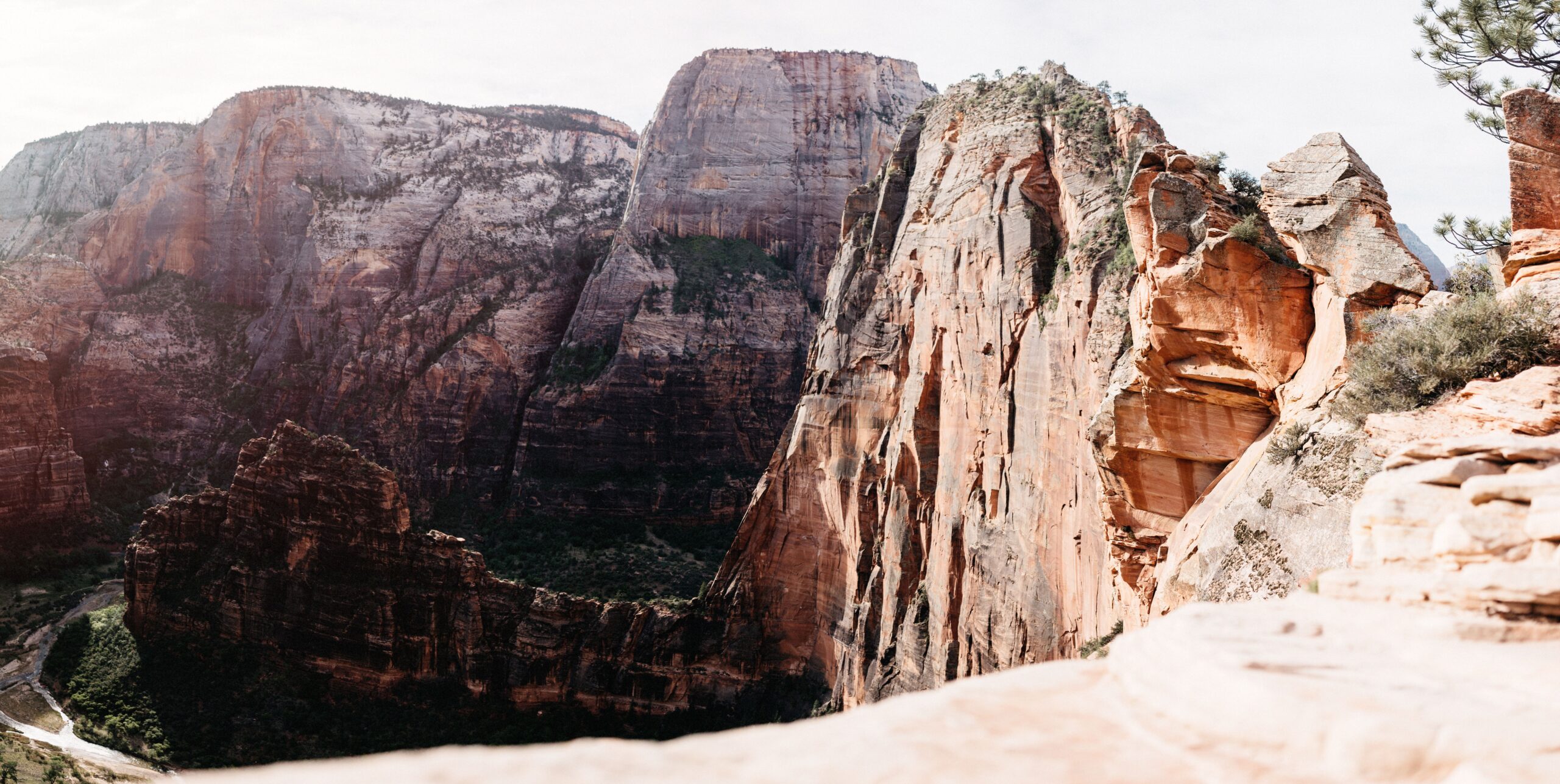 The narrow final ridge of Angel's Landing above Zion Canyon