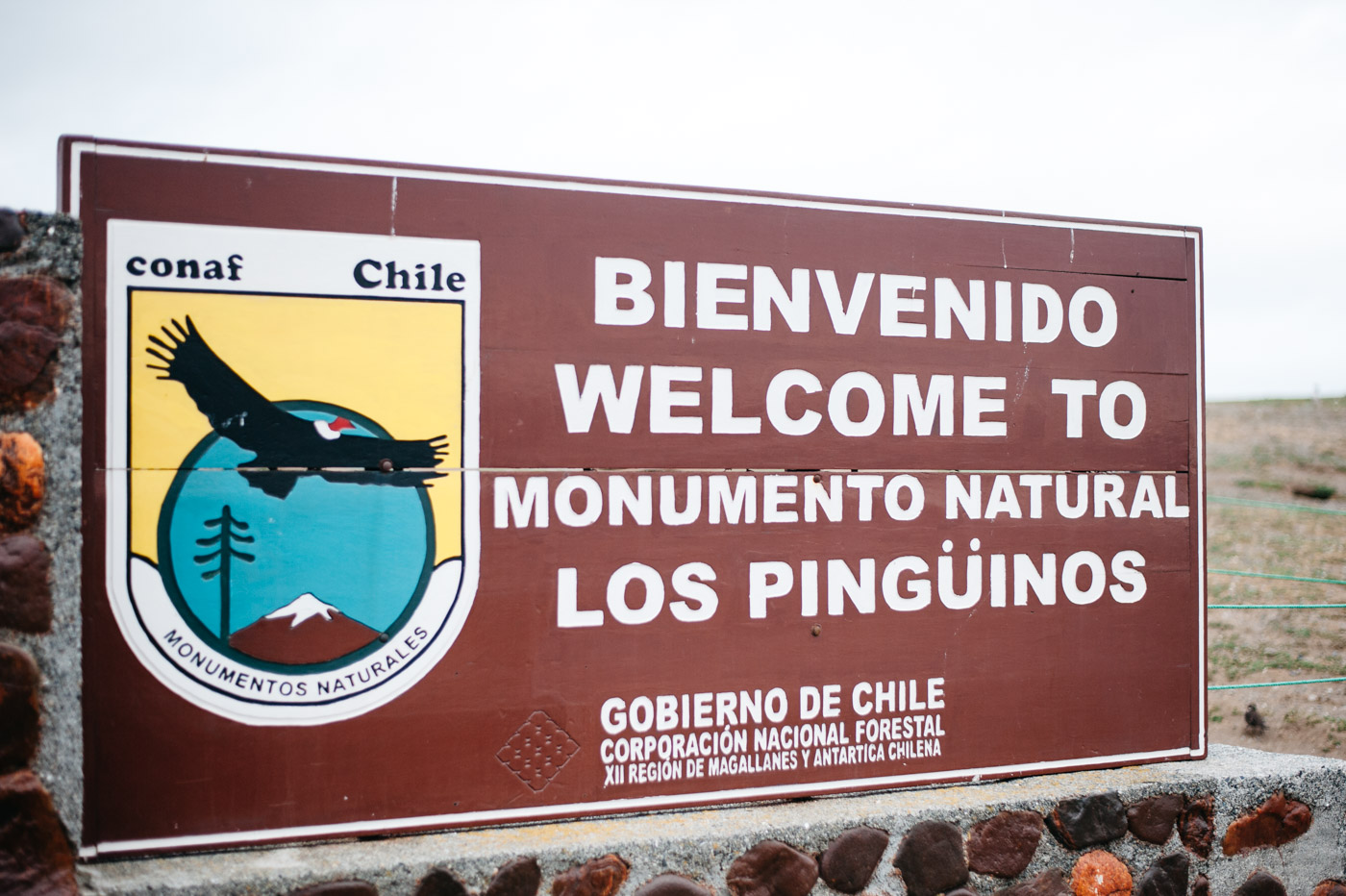 Welcome to Monumento Natural Los Pinguinos on Isla Magdalena